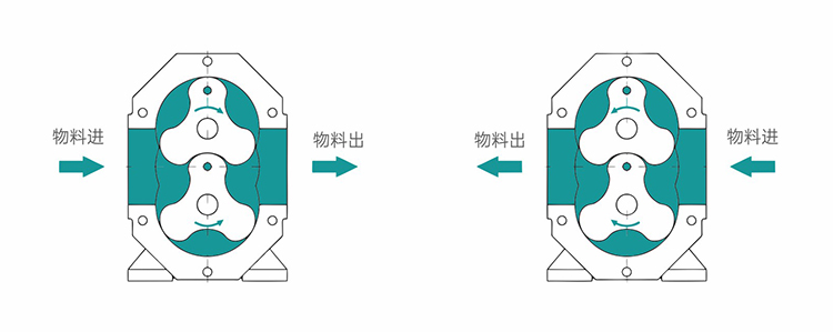 凸輪轉(zhuǎn)子泵試車注意事項(xiàng)